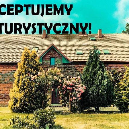 Chata Na Koncu Swiata Czaplin Maly Eksteriør billede
